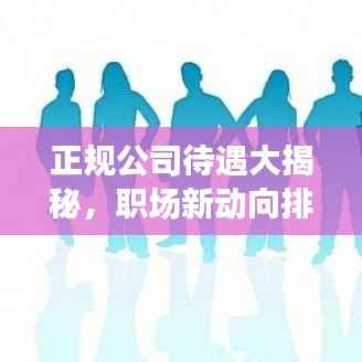 正规公司待遇大揭秘,职场新动向排名榜单!