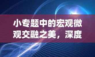 小专题中的宏观微观交融之美,深度剖析,拓宽视野