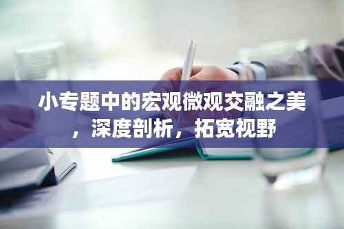 小专题中的宏观微观交融之美,深度剖析,拓宽视野