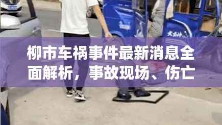 柳市车祸事件最新消息全面解析,事故现场、伤亡情况及救援进展揭秘