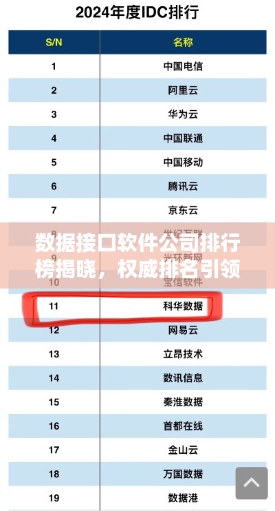 数据接口软件公司排行榜揭晓,权威排名引领行业风向!