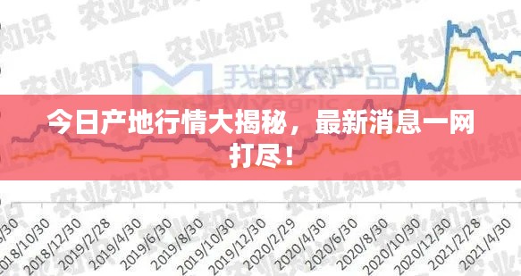 今日产地行情大揭秘,最新消息一网打尽!