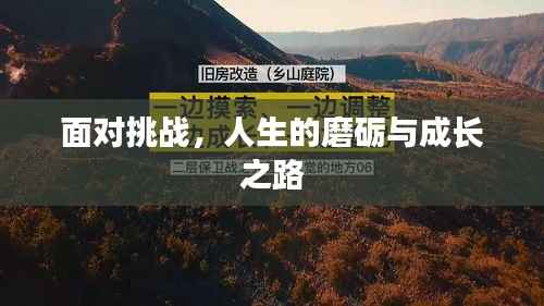 面对挑战,人生的磨砺与成长之路