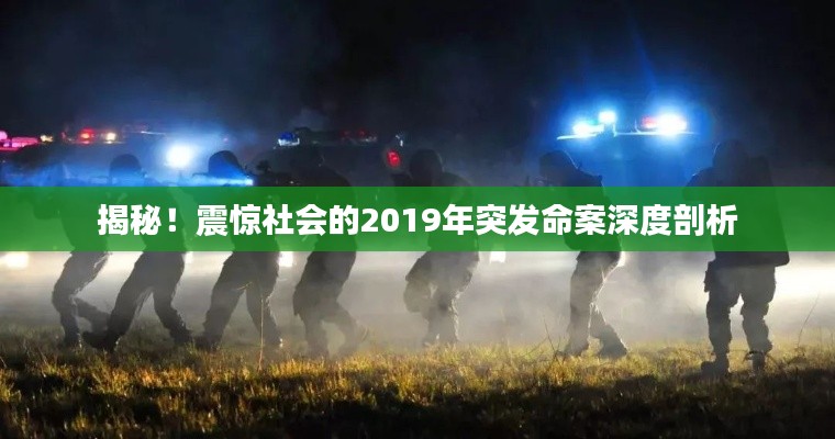 揭秘!震惊社会的2019年突发命案深度剖析