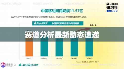 赛道分析最新动态速递