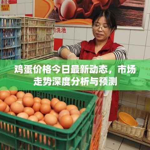 鸡蛋价格今日最新动态,市场走势深度分析与预测