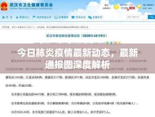 今日肺炎疫情最新动态,最新通报图深度解析