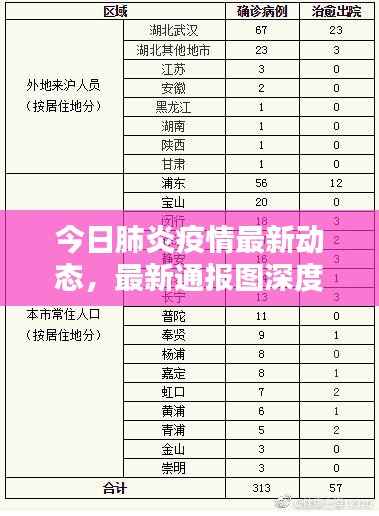 今日肺炎疫情最新动态,最新通报图深度解析