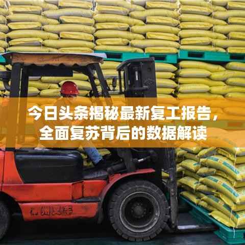 今日头条揭秘最新复工报告,全面复苏背后的数据解读