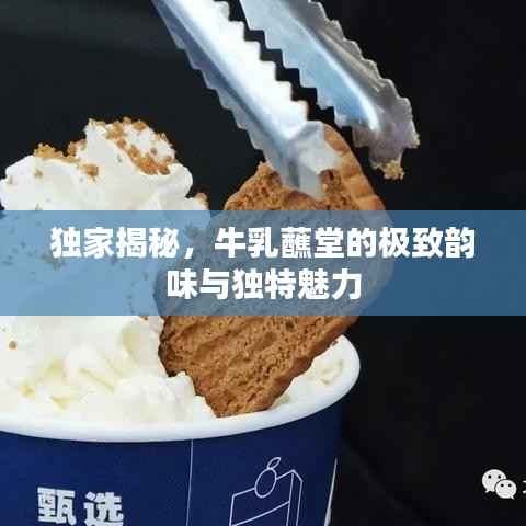 独家揭秘,牛乳蘸堂的极致韵味与独特魅力