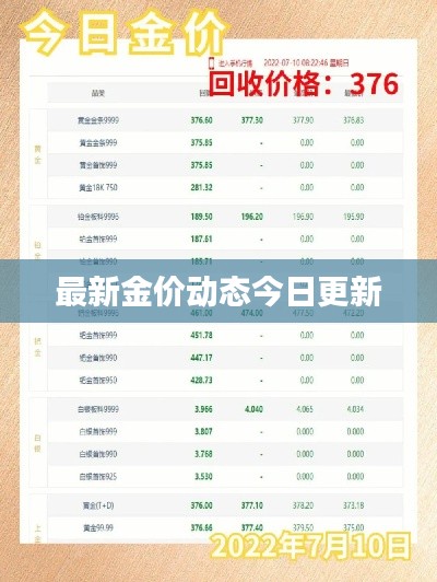 最新金价动态今日更新
