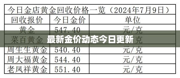 最新金价动态今日更新