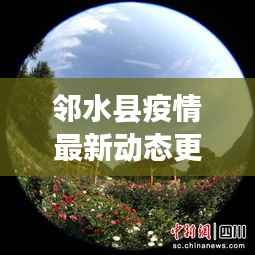 邻水县疫情最新动态更新
