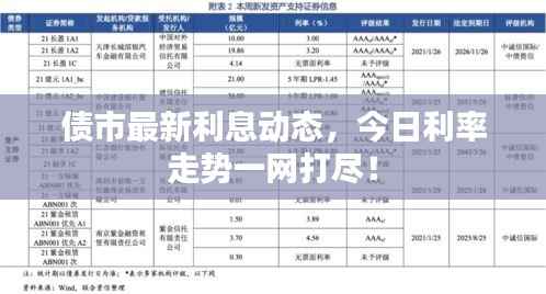 债市最新利息动态，今日利率走势一网打尽！