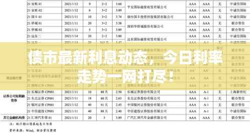 债市最新利息动态,今日利率走势一网打尽!