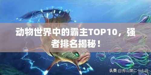动物世界中的霸主TOP10,强者排名揭秘!