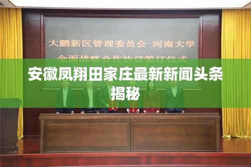 知识产权布局设计中心 第116页