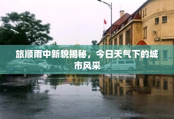 旅顺雨中新貌揭秘,今日天气下的城市风采