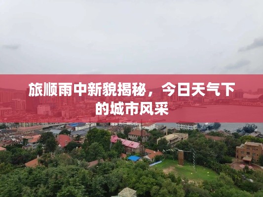 旅顺雨中新貌揭秘,今日天气下的城市风采