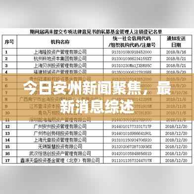 今日安州新闻聚焦,最新消息综述