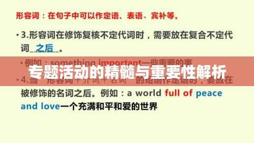 专题活动的精髓与重要性解析