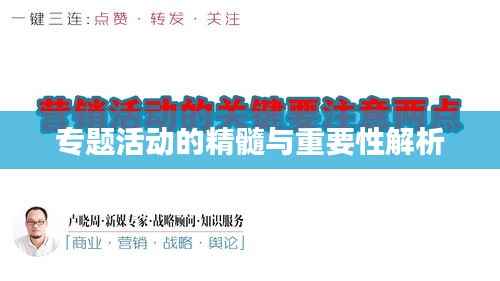 专题活动的精髓与重要性解析
