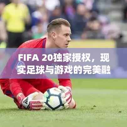 FIFA 20独家授权,现实足球与游戏的完美融合