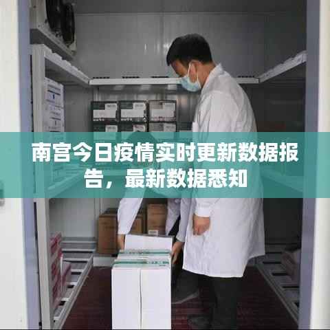 南宫今日疫情实时更新数据报告,最新数据悉知