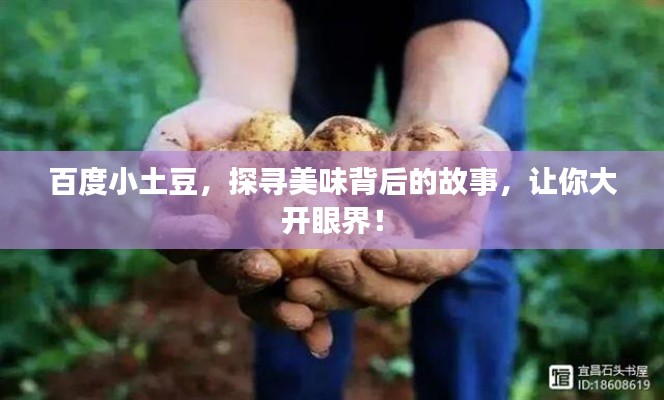 百度小土豆,探寻美味背后的故事,让你大开眼界!