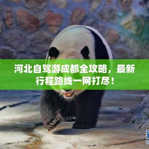 河北自驾游成都全攻略,最新行程路线一网打尽!