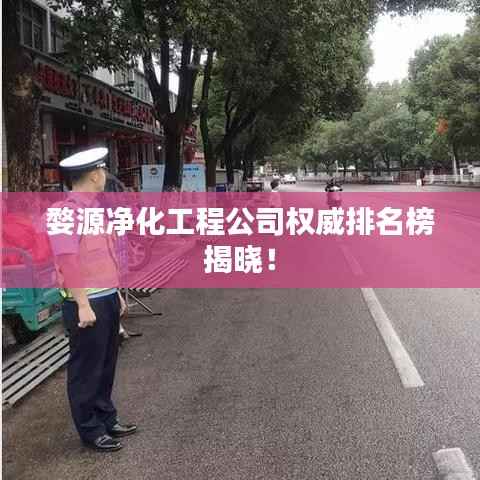 婺源净化工程公司权威排名榜揭晓！