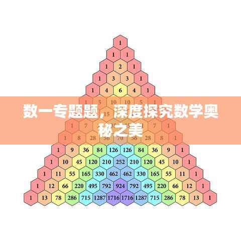 数一专题题，深度探究数学奥秘之美