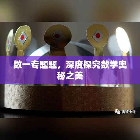 数一专题题,深度探究数学奥秘之美