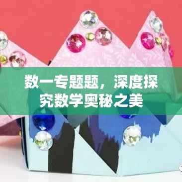 数一专题题,深度探究数学奥秘之美