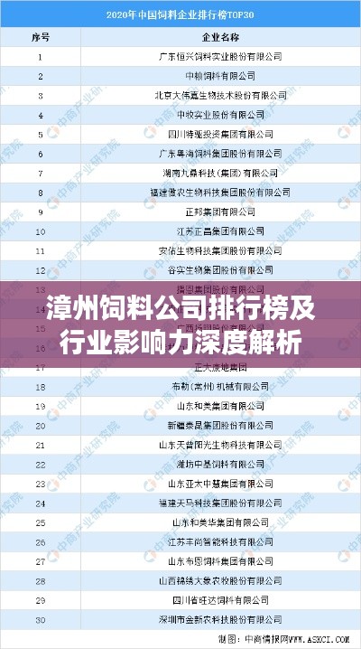 漳州饲料公司排行榜及行业影响力深度解析