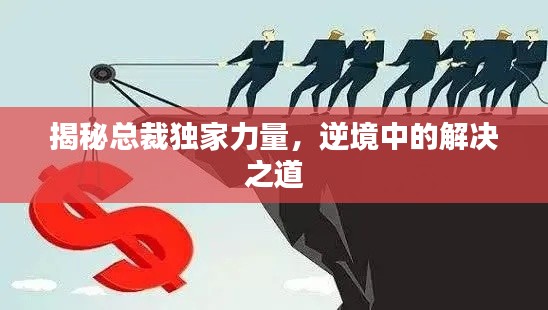 揭秘总裁独家力量,逆境中的解决之道