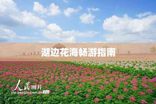 湖边花海畅游指南