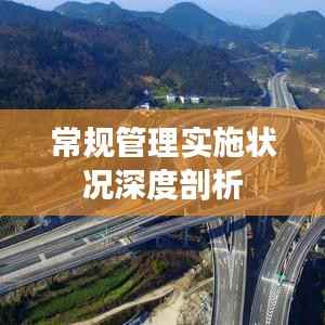 常规管理实施状况深度剖析