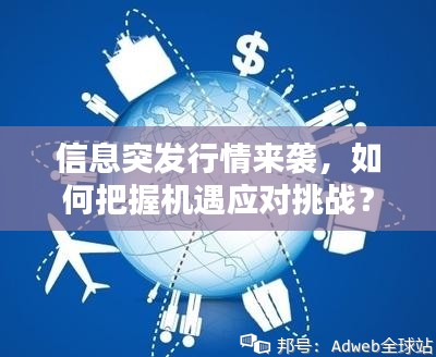 信息突发行情来袭,如何把握机遇应对挑战?