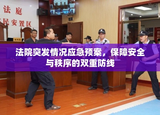 法院突发情况应急预案,保障安全与秩序的双重防线