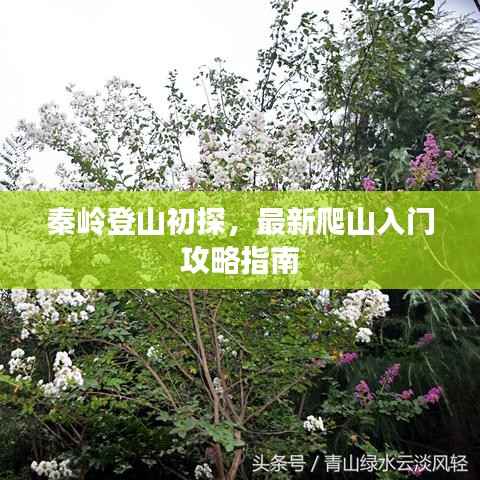 秦岭登山初探，最新爬山入门攻略指南