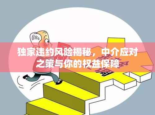 独家违约风险揭秘,中介应对之策与你的权益保障