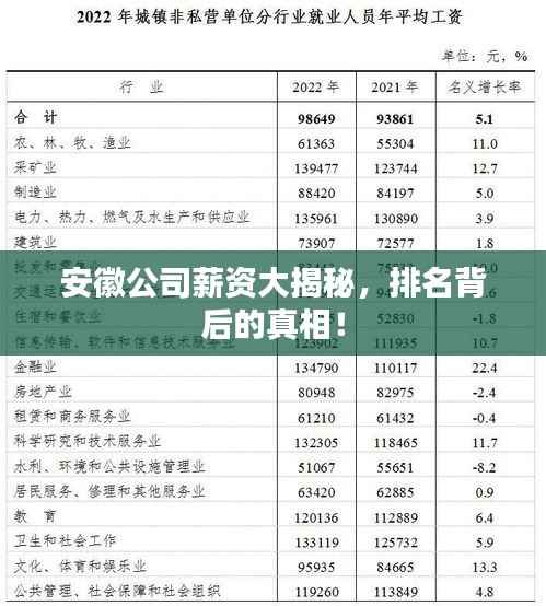 安徽公司薪资大揭秘,排名背后的真相!