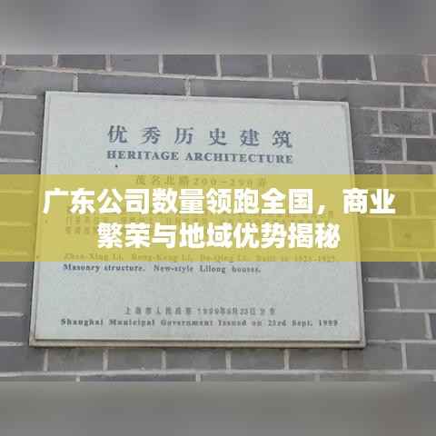 广东公司数量领跑全国，商业繁荣与地域优势揭秘