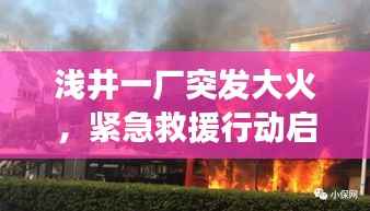 浅井一厂突发大火,紧急救援行动启动,现场火势凶猛紧急处理中