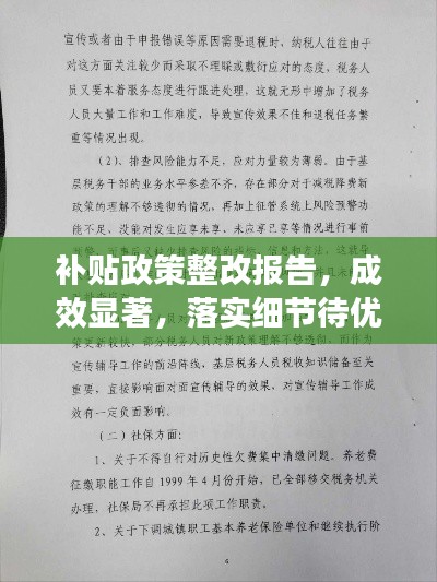 补贴政策整改报告,成效显著,落实细节待优化