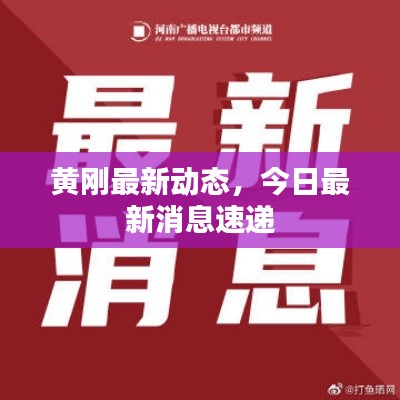 黄刚最新动态,今日最新消息速递
