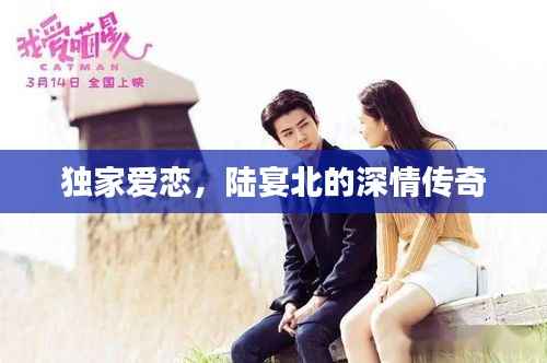 独家爱恋，陆宴北的深情传奇