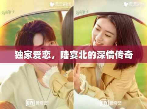独家爱恋,陆宴北的深情传奇