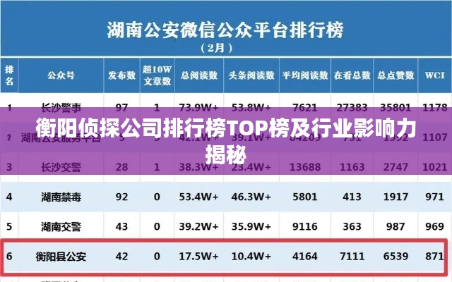 衡阳侦探公司排行榜TOP榜及行业影响力揭秘